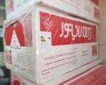 پکیج دیواری L24FF